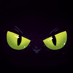 Coffret Big Bad Gourou