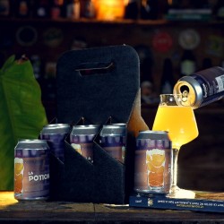 RECHARGE POTION 33cl x6