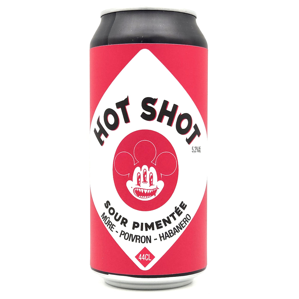 ARCKA x BREWHOUSE - Hot Shot - 5,2° - SOUR - 44cl