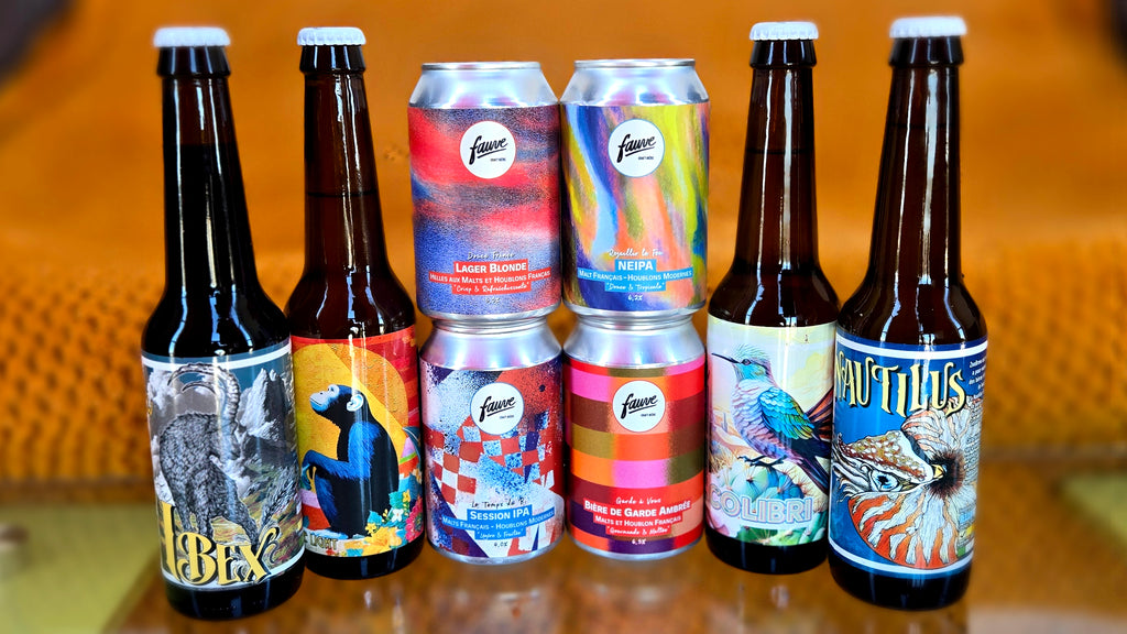 Box 8 bières mensuelles JIVAY