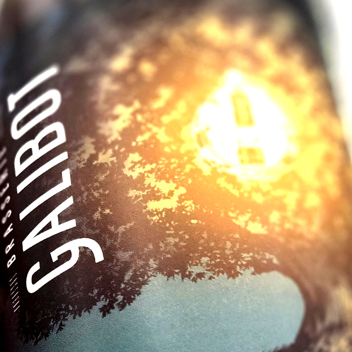 GALIBOT - Pils de Schoeneck - 5.0° - Pils - 33cl