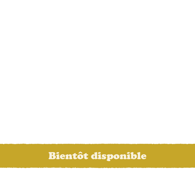 Cet article n'est pas encore disponble, revenez bientot !